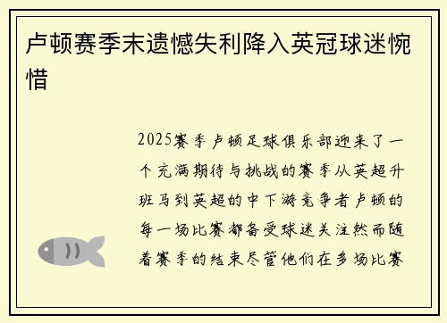卢顿赛季末遗憾失利降入英冠球迷惋惜